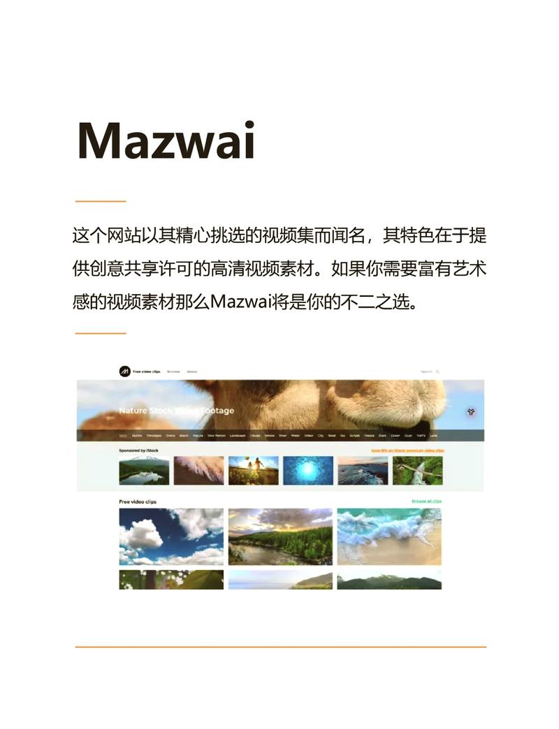 mazwai视频素材官网