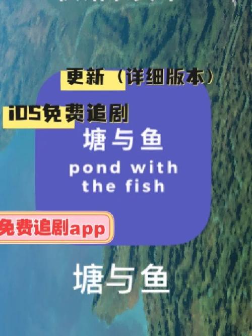 塘与鱼免费下载官方正版最新版下载