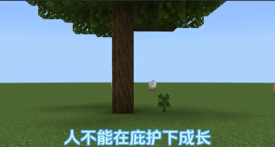 蜜熊最后和谁在一起了