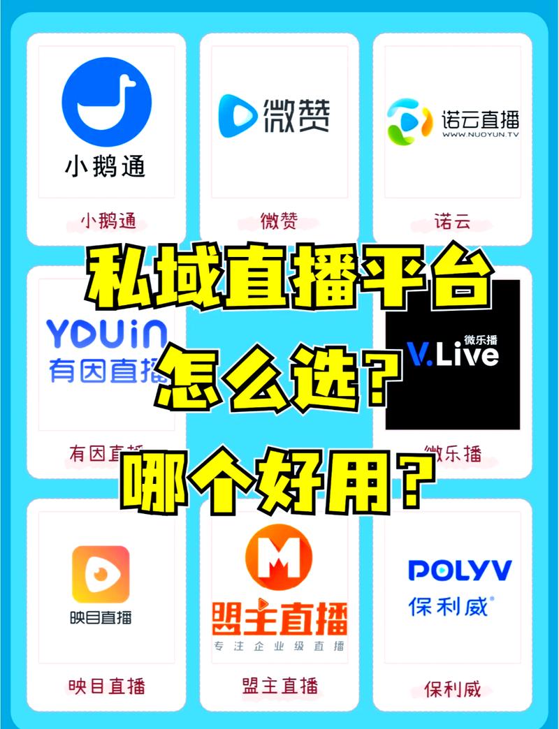 十大不封号直播平台
