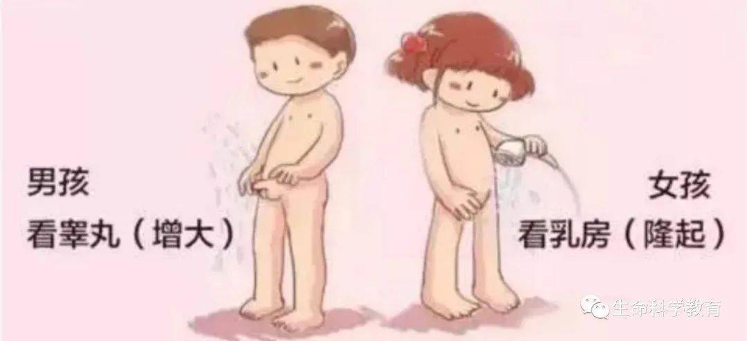 折磨男生的小jiji的小说