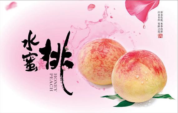 蜜桃㊙️水蜜桃
