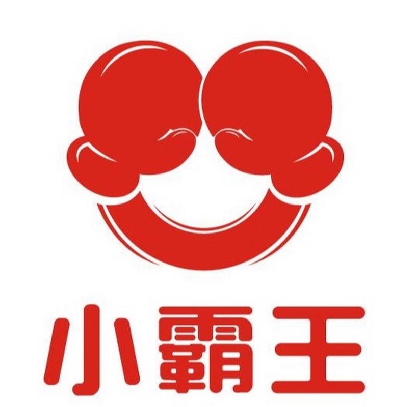 小霸王中文游戏300合一