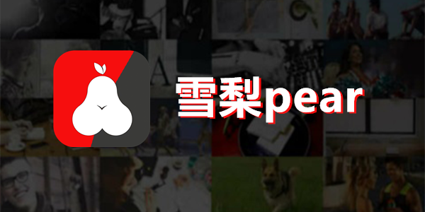 雪梨pearAPP
