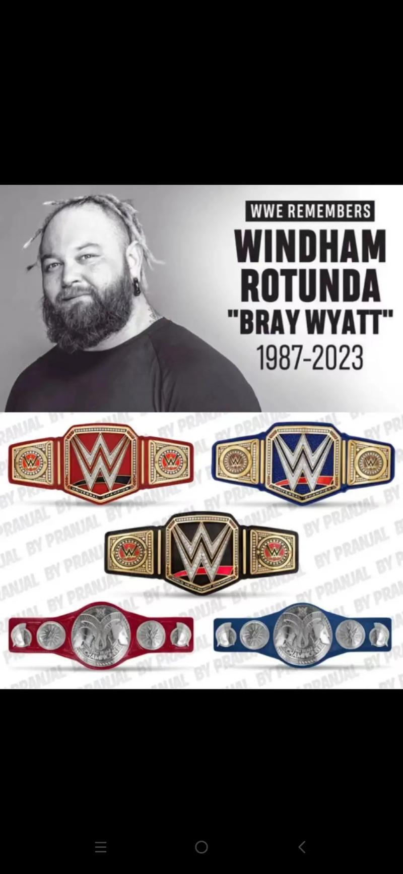 WWE新版本汉化2023最新版特色