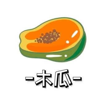 木瓜138Cm