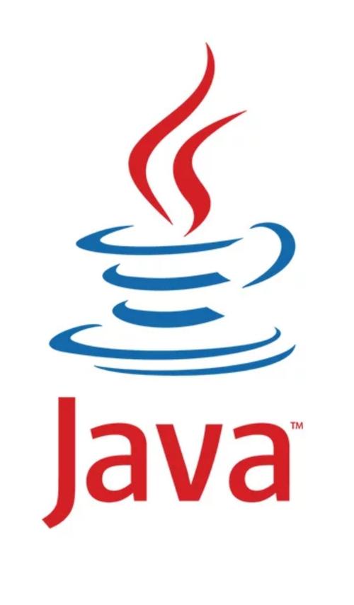 手机版java启动器