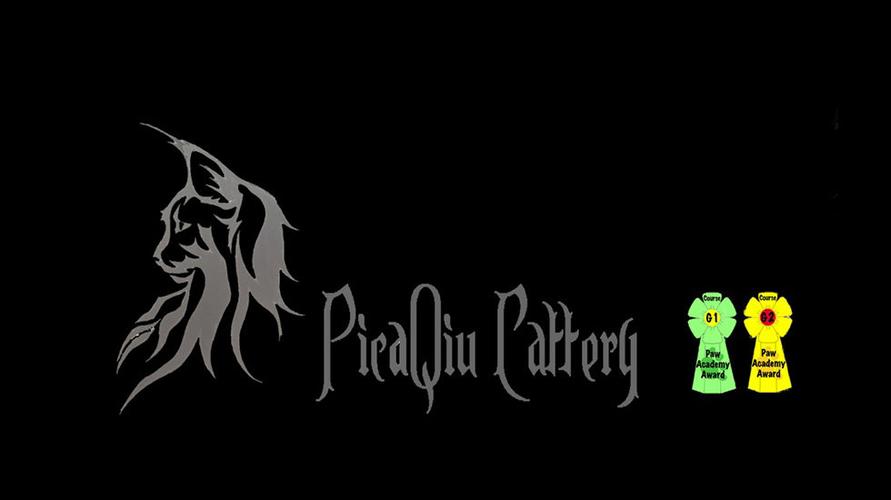 pica庇护所网页版