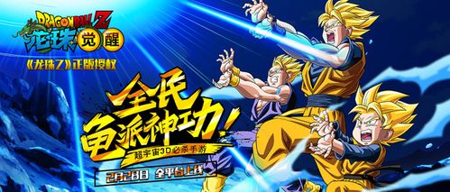 龙珠觉醒破解版