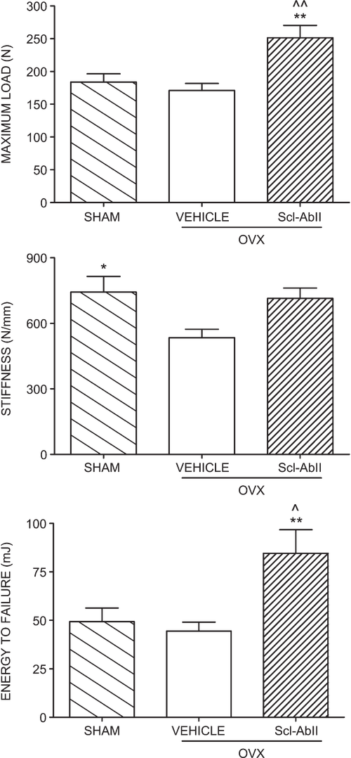 bika–ovxse1bk