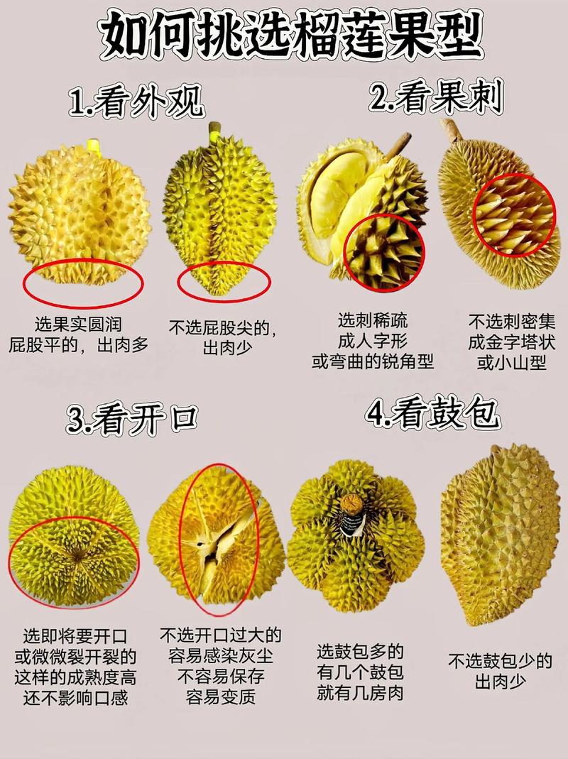 ▇榴莲视频▇在线播放免费