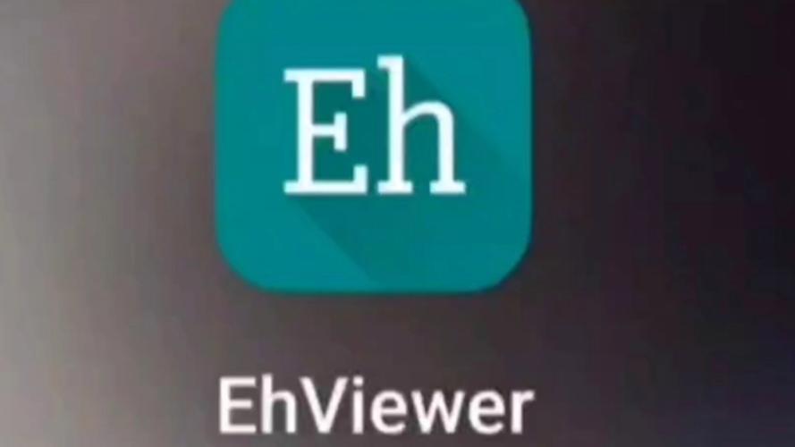 eh安卓12手动添加已验证链接
