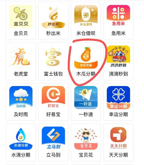 木瓜分期贷款app