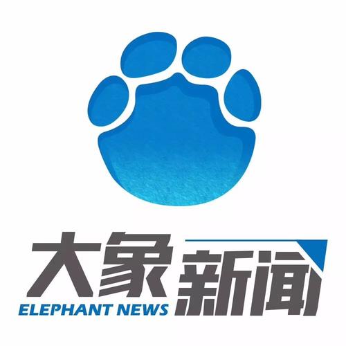 大象传媒2024年人口
