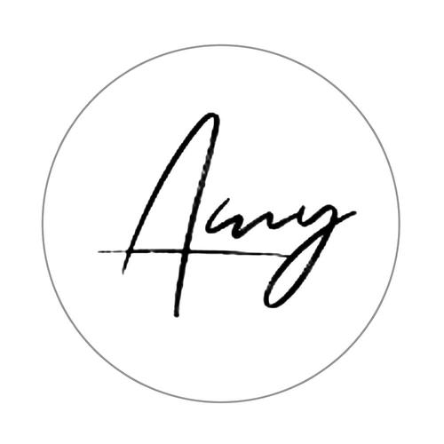 Amy辅助官网