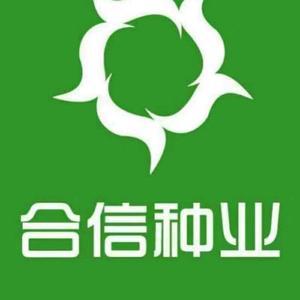 种菜赚钱