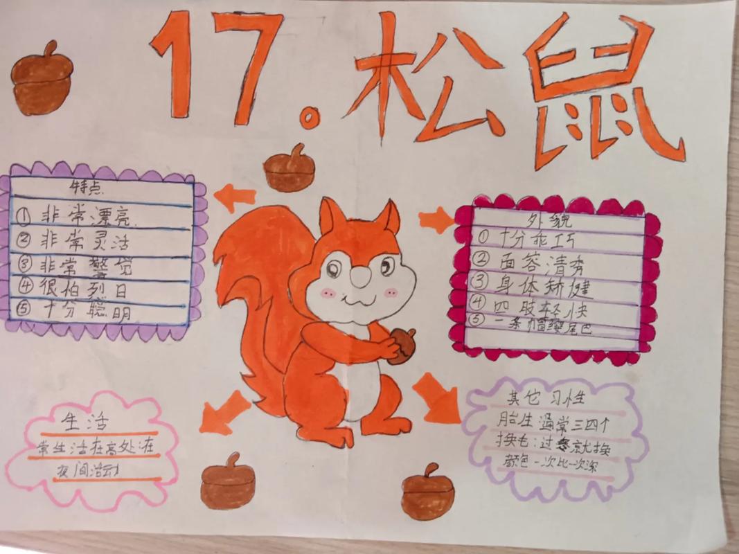 爱冒险的松鼠300字左右