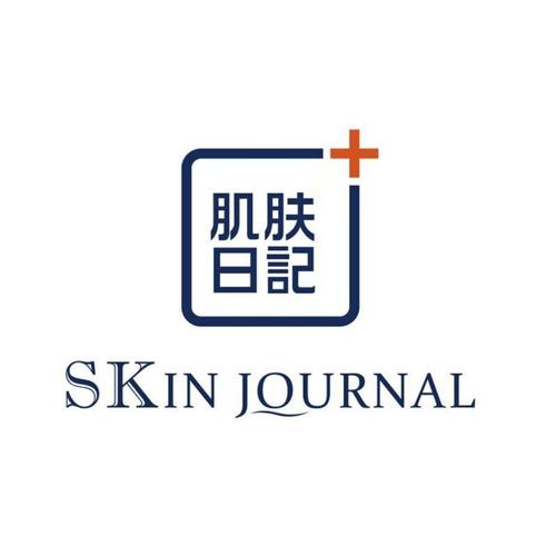 下载皮肤