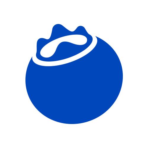 蓝莓辅助器框架
