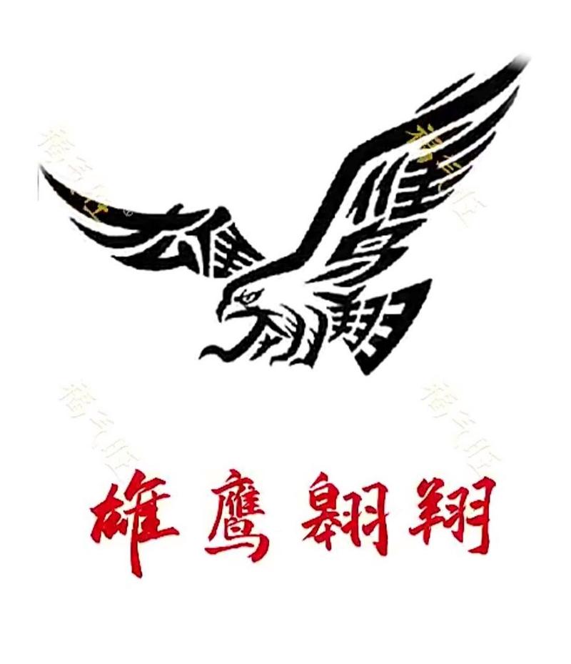 傲气雄鹰下载截图