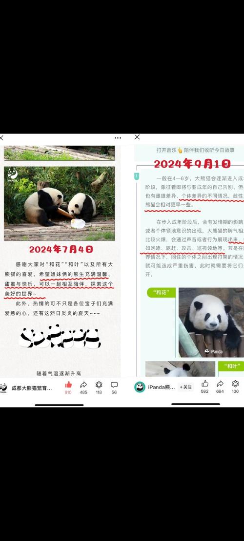 熊猫推文激活码2024最新版本