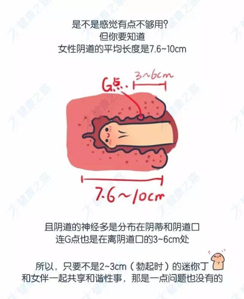 14cm可以插到宫颈吗