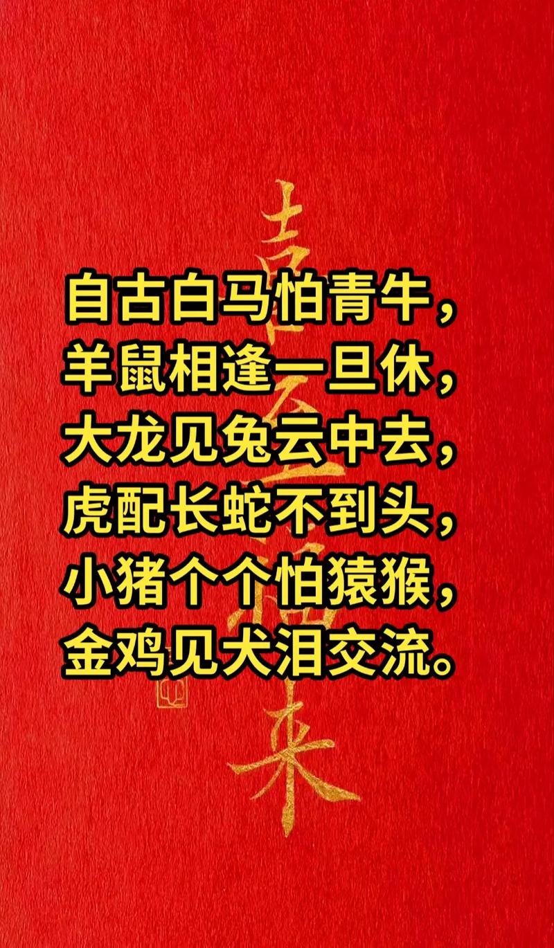 小猪金鸡视频