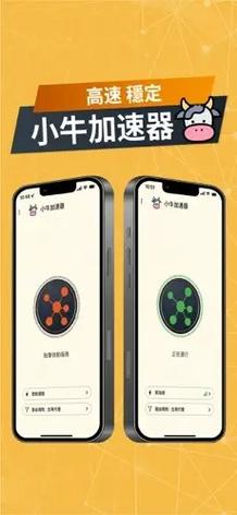 小牛加速器正版官方入口下载安装