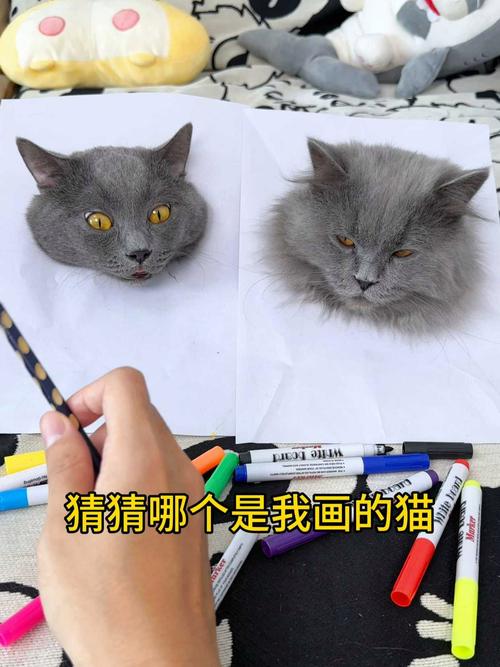 画猫画质助手10·4