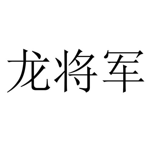 龙将军直装v10
