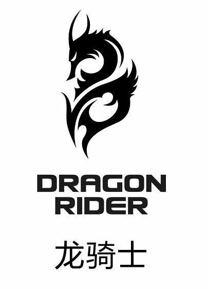 龙骑士辅助改名叫什么了