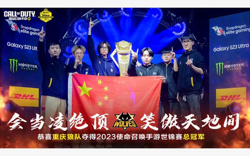 使命召唤狼队vs日本队截图