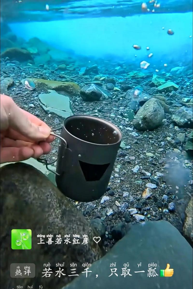 自由岛三年沉淀只做精品破解版