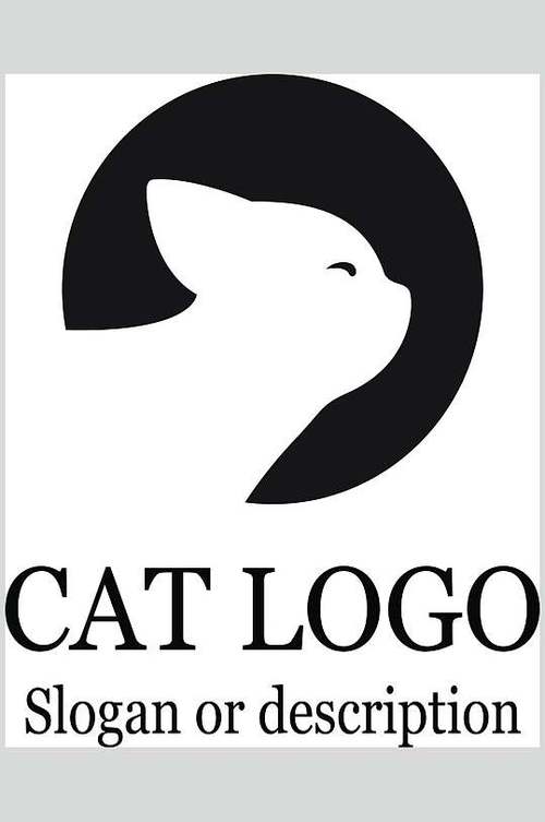 猫咪3.1.0安装