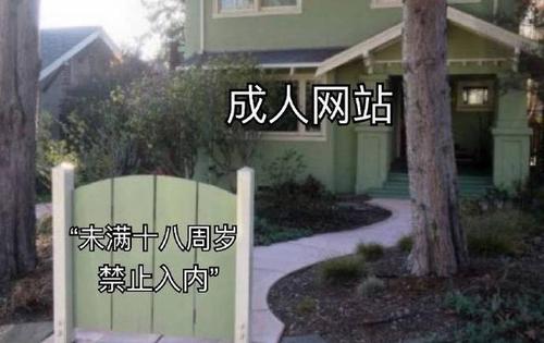 成人做爰视频WWW