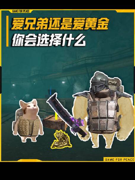 小逸国体ESP免费版下载和平精英