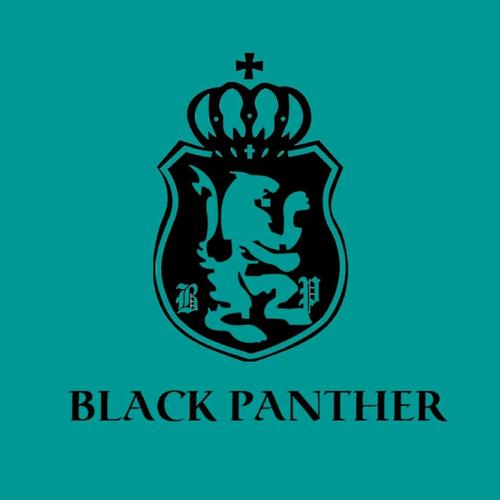 XHAMETER黑豹官网