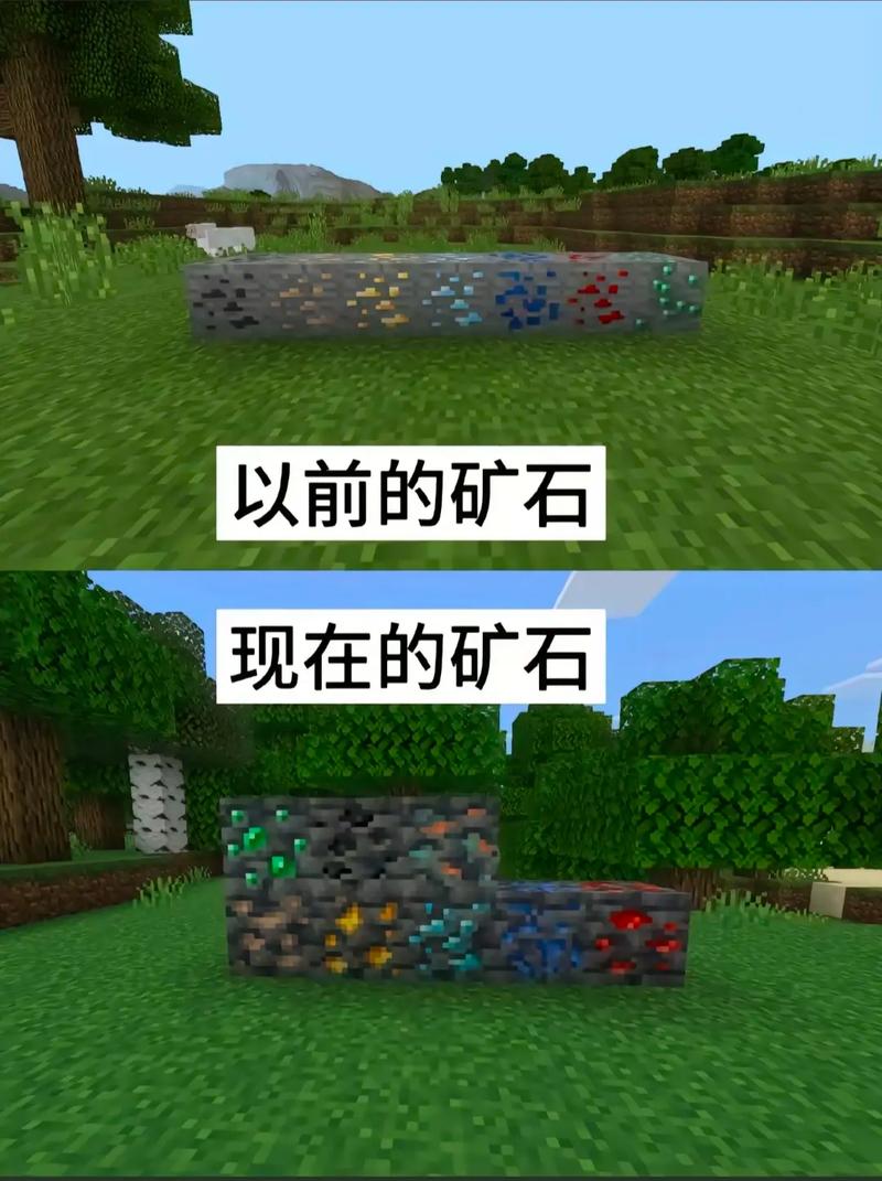 我的世界免费矿透挂