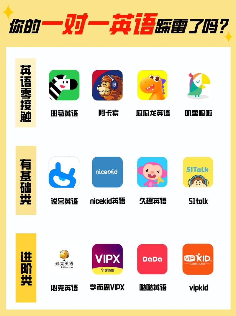 海外一对一付费聊天平台