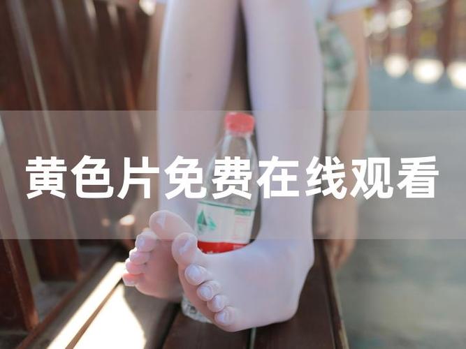 能免费看成人污H黄的成人网站