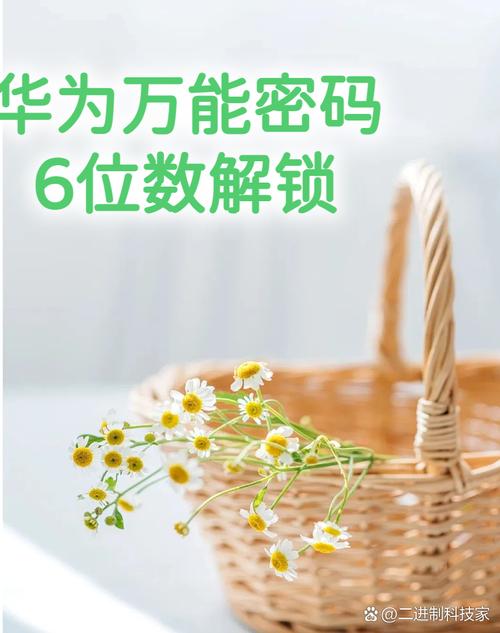 万能激活码6位