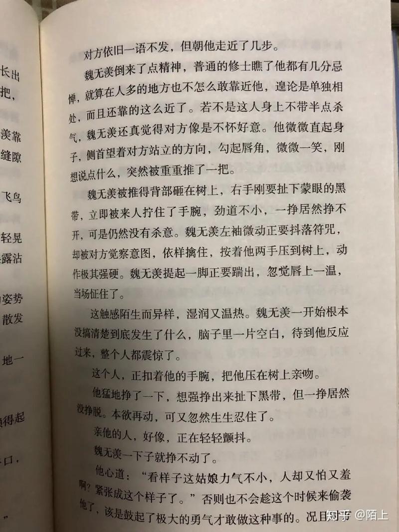 魏婴用玉势惩罚蓝湛