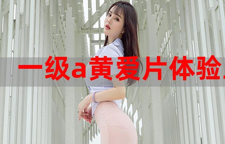 黄a免费网络