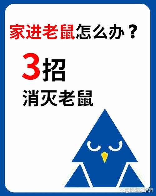 老鼠直装3.3版本
