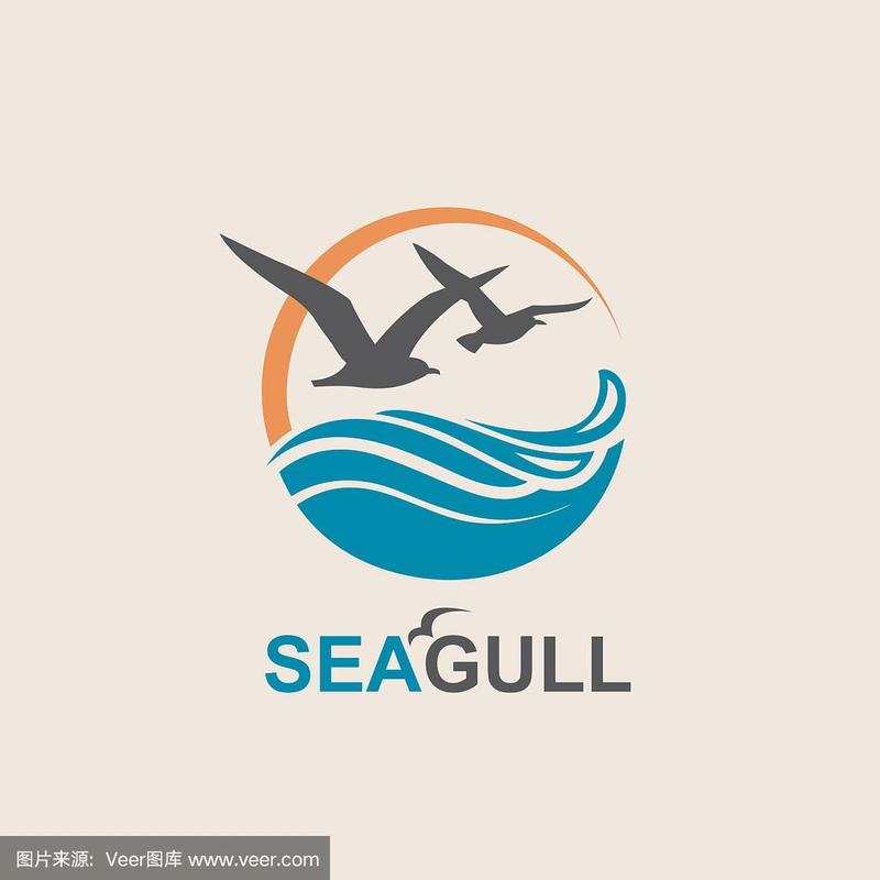 海鸥买了后悔死了