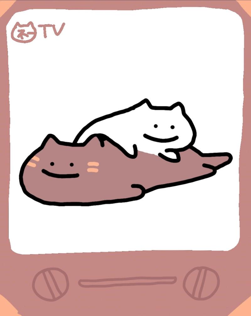 8769.TV小猫