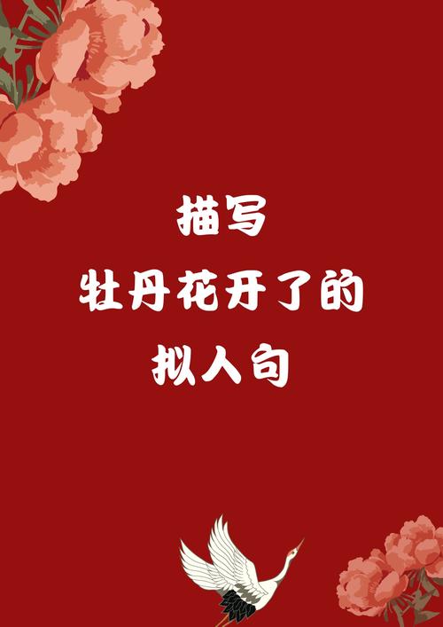 豆豆视频下载安装成人网站