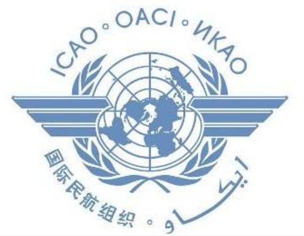 空军817事件处理