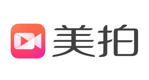 拍美美