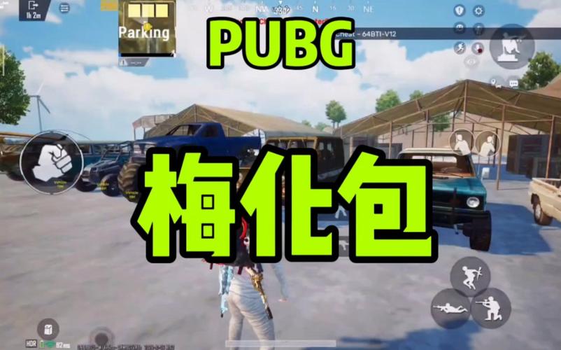pubg雪花防封